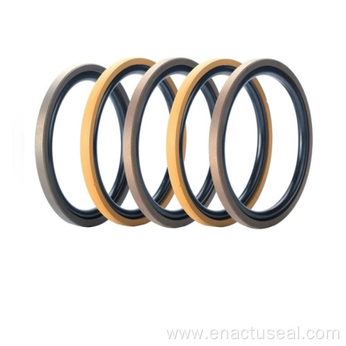 PTFE Hydraulic Piston Double Acting Oil Seal